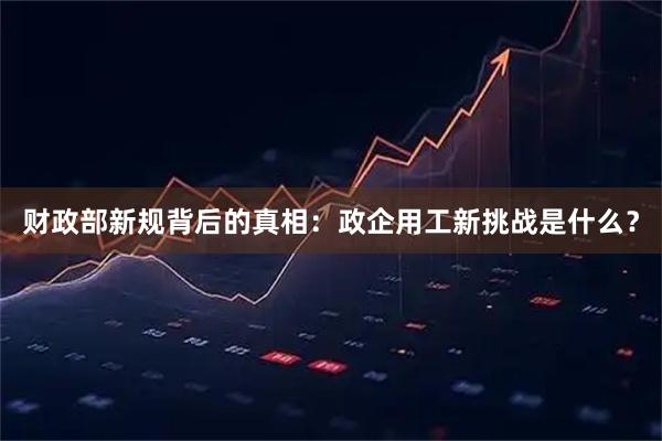 财政部新规背后的真相：政企用工新挑战是什么？